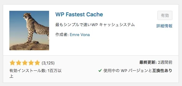 WP Fastest Cache